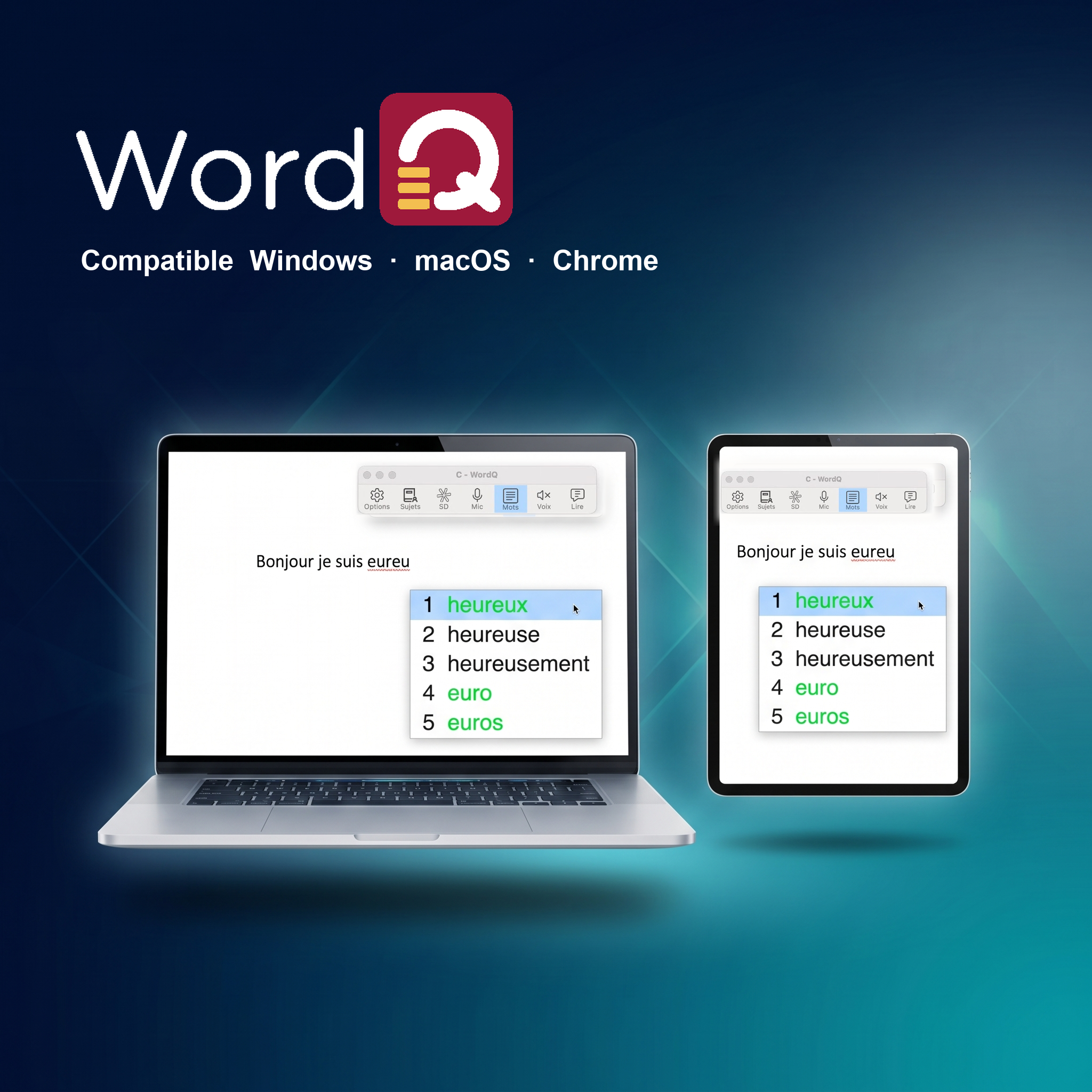 WordQ pour Chrome